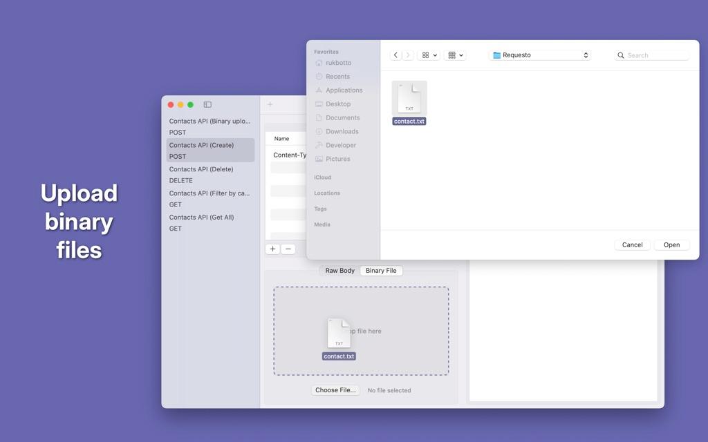 Requesto binary file upload