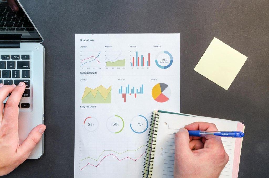 Analyst reviewing website findings and performance charts